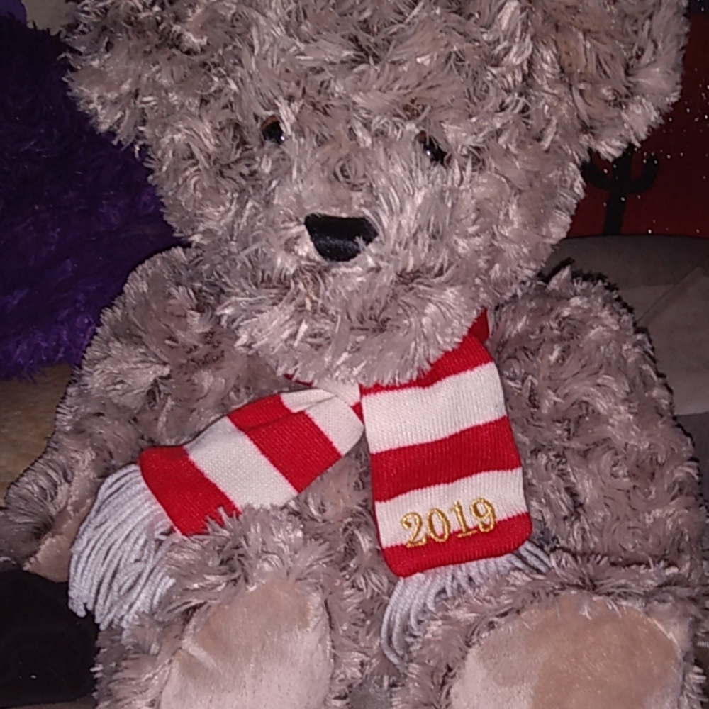 A teddy bear